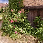 펜션 Estate In Dordogne Near Sites *