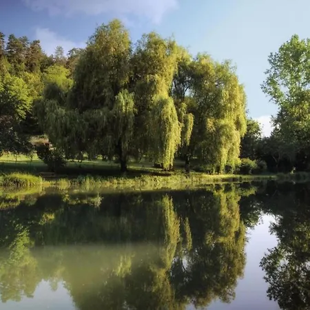 Heritage In Aquitaine With Shared Pool * Falcou